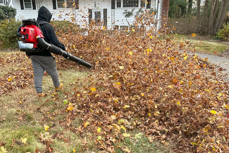 Fall-Cleanup-3