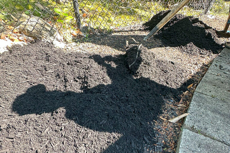 Mulching-10