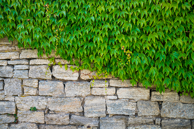 Retaining Walls - Vix