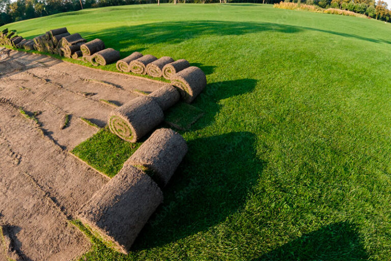 Sod-And-Hydroseeding-Installation-7